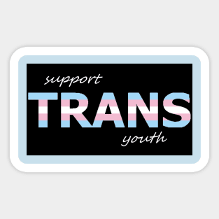 Support Trans Youth Sticker